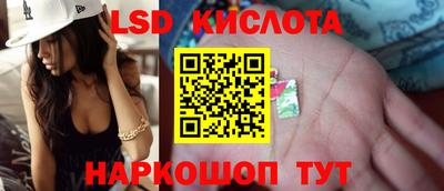 кокс Можга