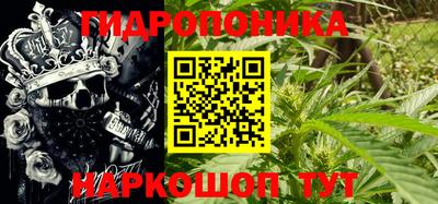 прущие крисы Моздок