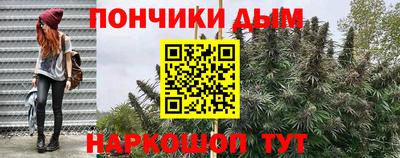 кокс Можга