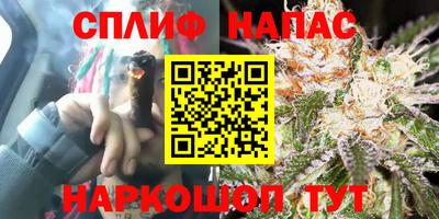 кокс Можга