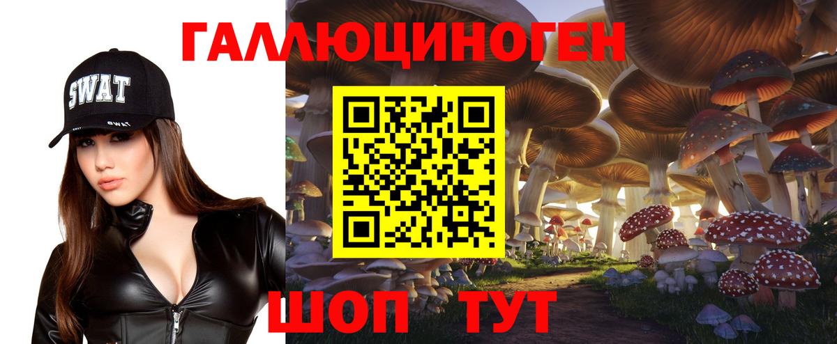 Тайшет  дарнет шоп  Вход с VPN  Псилоцибиновые грибы мухоморы 