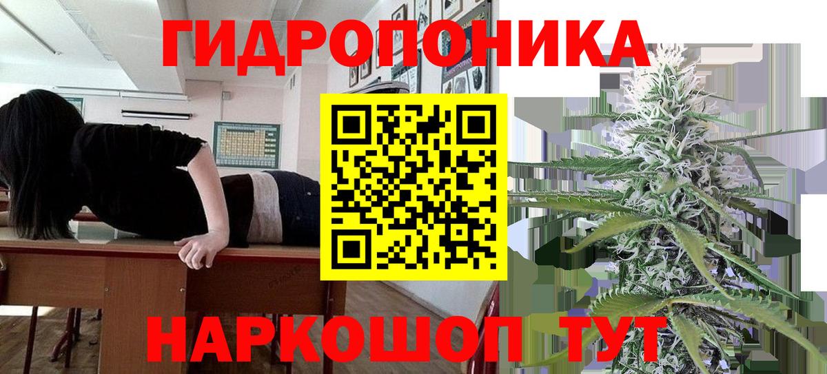 Бошки марихуана тримм  Бошки Шишки план  Вход с VPN  Тайшет  Марихуана THC 21%  МАРИХУАНА Amnesia 